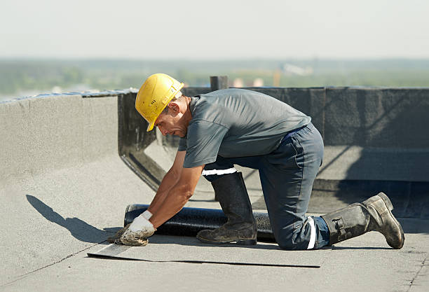 Best Cellulose Insulation in Mount Gay Shamrock, WV