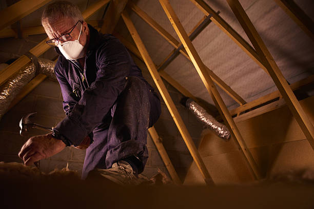 Professional Insulation Contractor in Mount Gay Shamrock, WV